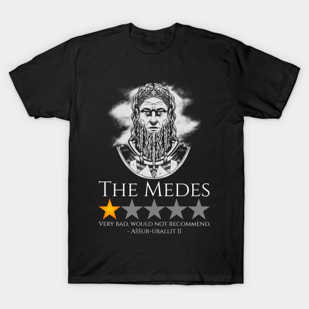 History Meme - The Medes - Mesopotamian Iron Age - Assyria T-Shirt by Styr Designs